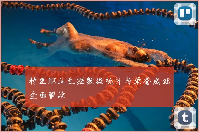 特里职业生涯数据统计与荣誉成就全面解读