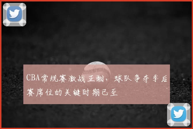 CBA常规赛激战正酣，球队争夺季后赛席位的关键时期已至