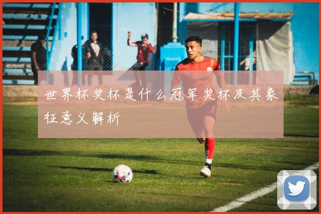 世界杯奖杯是什么冠军奖杯及其象征意义解析
