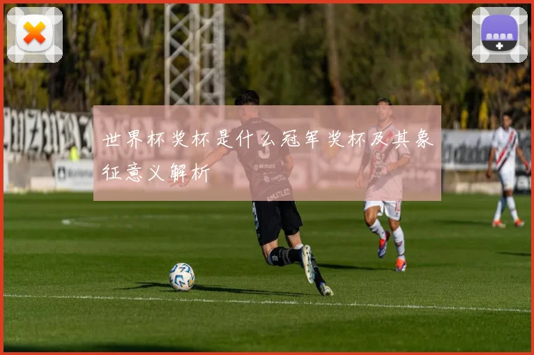 世界杯奖杯是什么冠军奖杯及其象征意义解析